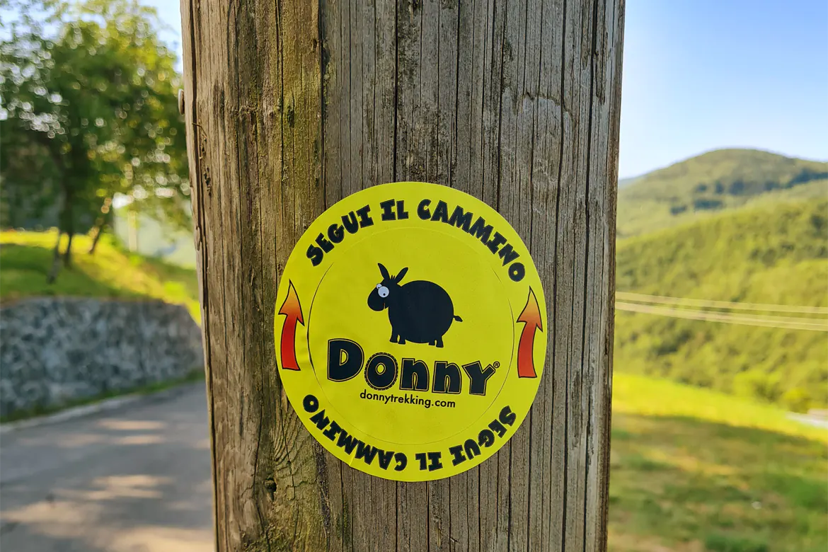 Presentazione Progetto &quot;Donny&quot;