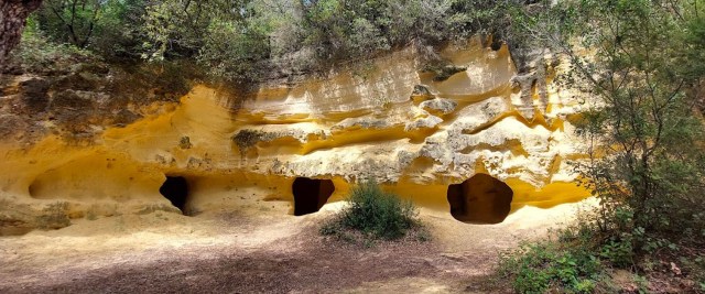 luisa-grotte-gialle-bibbona